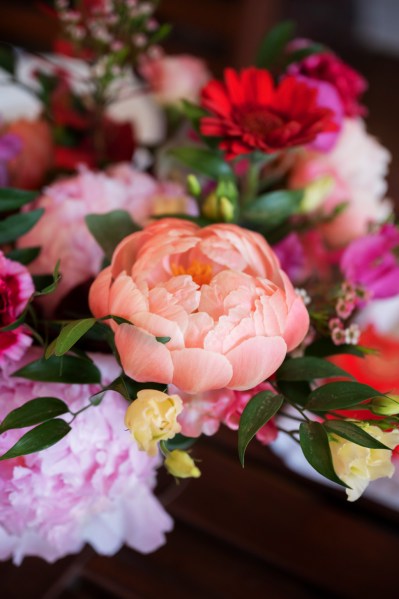 Pink red flowers roses